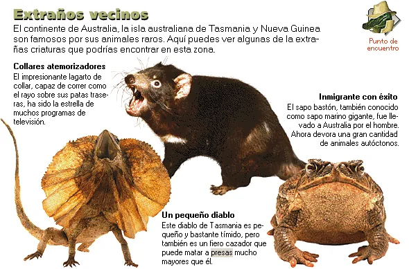 Extraños vecinos