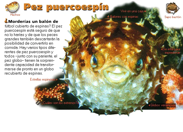 Pez puercoespín