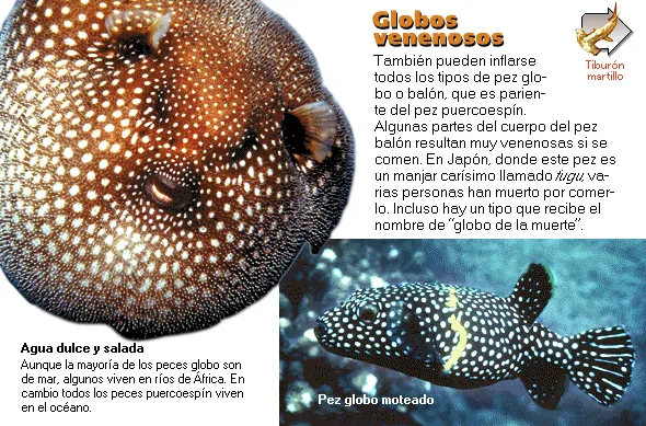 Globos venenosos