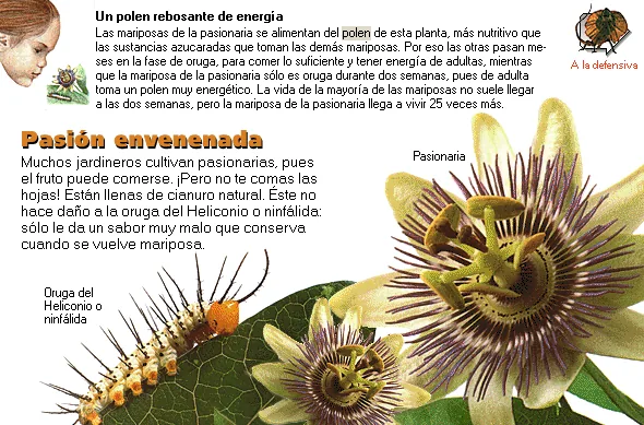 Pasión envenenada