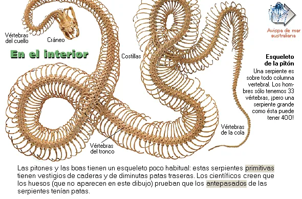 En el interior