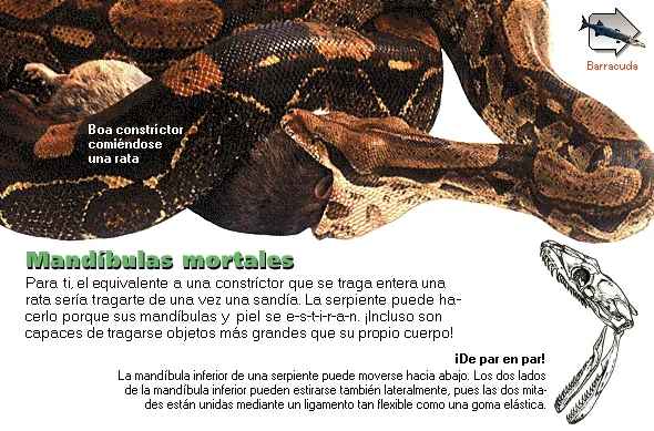 Mandíbulas mortales