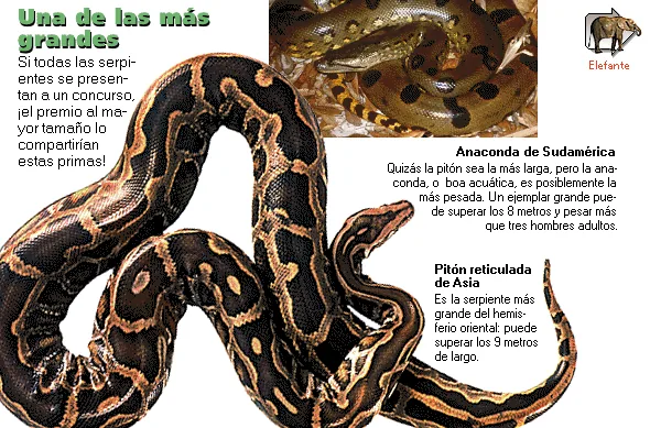 Una de las más grandes