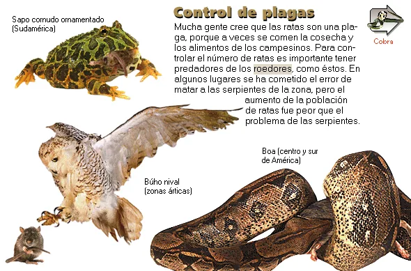 Control de plagas