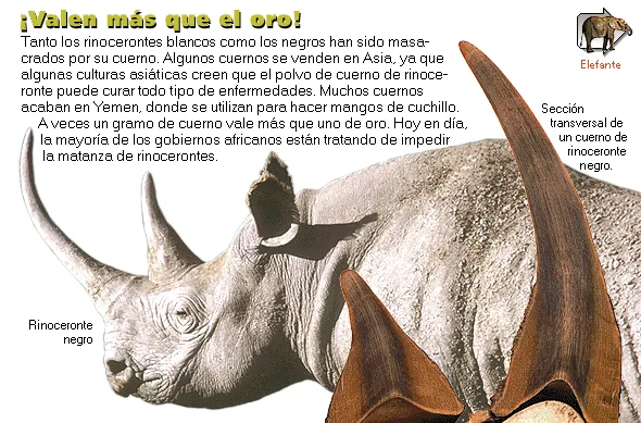 ¡Valen más que el oro!
