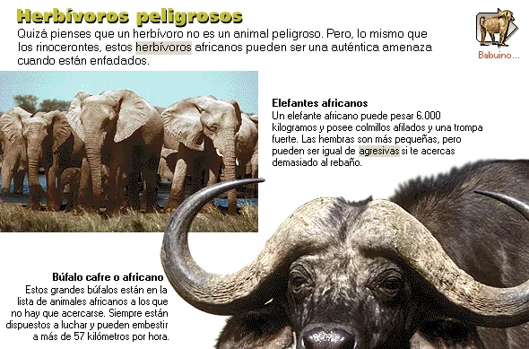 Herbívoros peligrosos