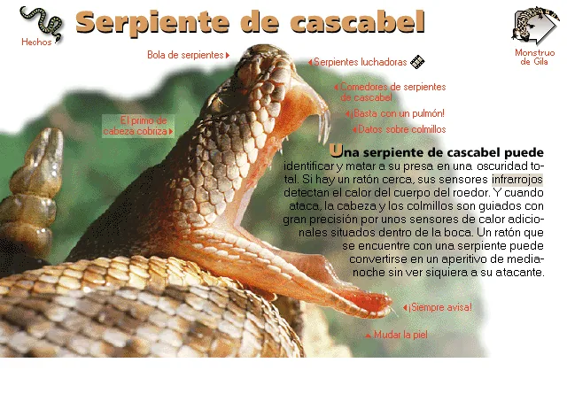 Serpiente de cascabel
