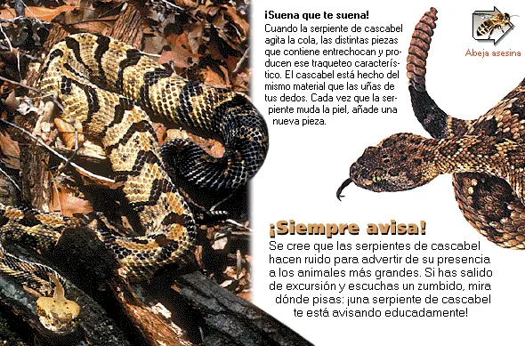¡Siempre avisa!