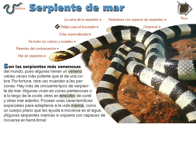 Serpiente de mar