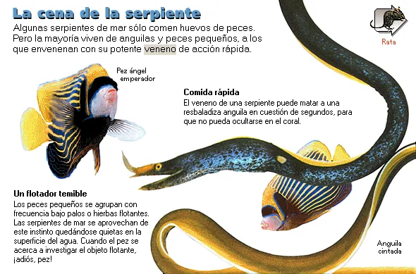 La cena de la serpiente