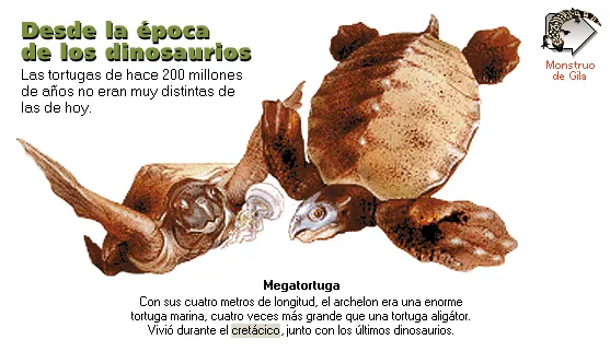 Desde la época de los dinosaurios