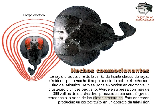 Hechos conmocionantes