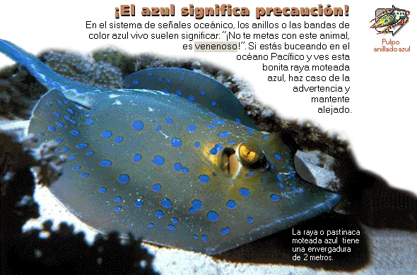 ¡El azul significa precaución!