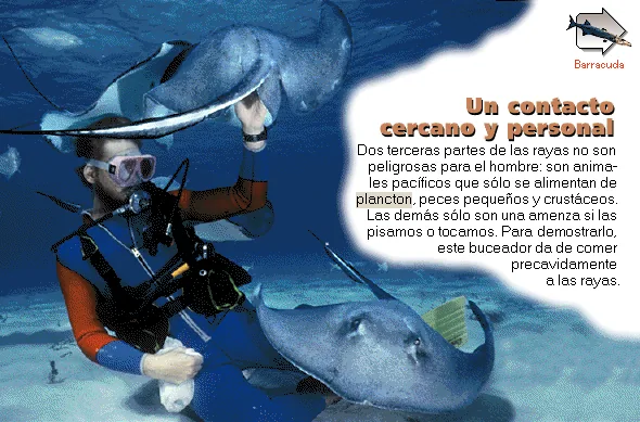 Un contacto cercano y personal