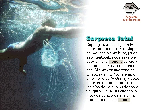 Sorpresa fatal