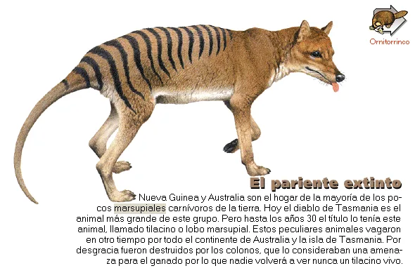 El pariente extinto