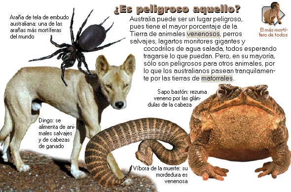 ¿Es peligroso aquello?