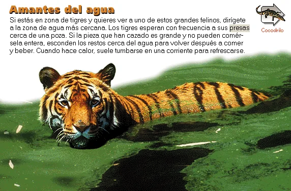Amantes del agua