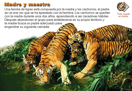 Madre y maestra