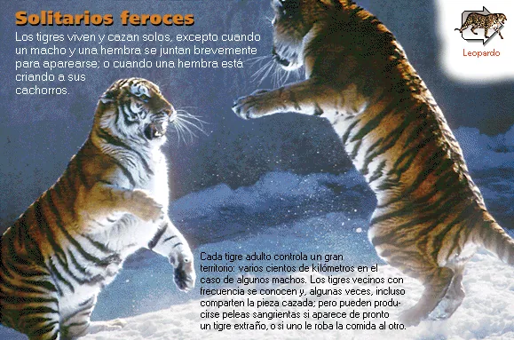 Solitarios feroces