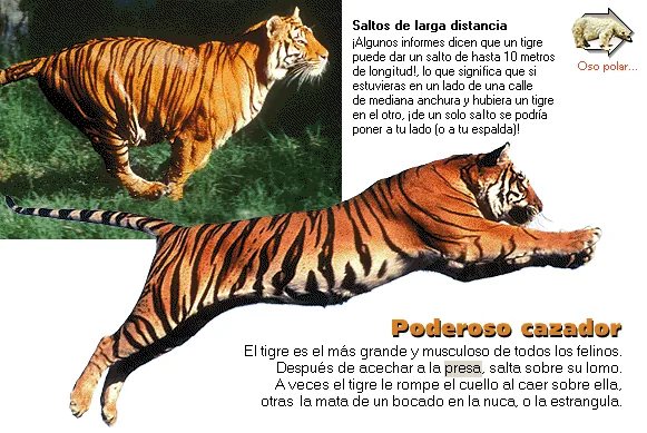 Poderoso cazador