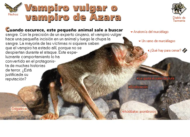 Vampiro vulgar o vampiro de Azara