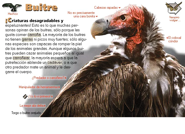 Buitre