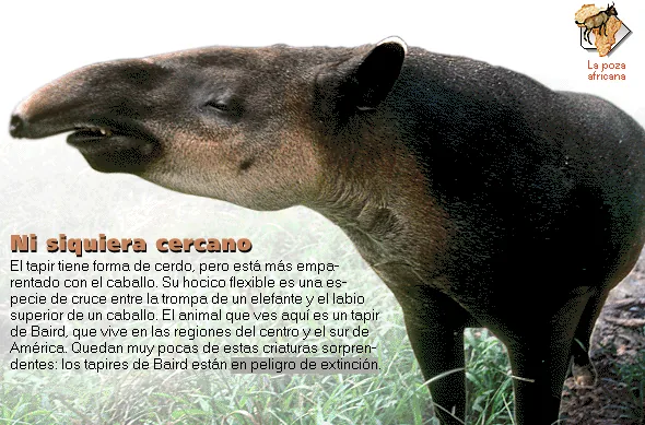 Ni siquiera cercano