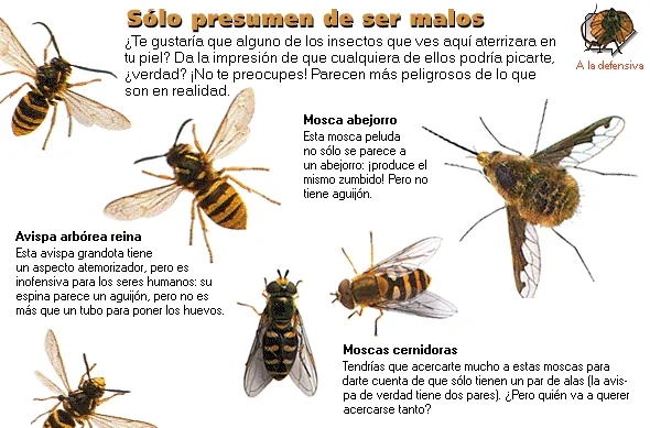 Sólo presumen de ser malos