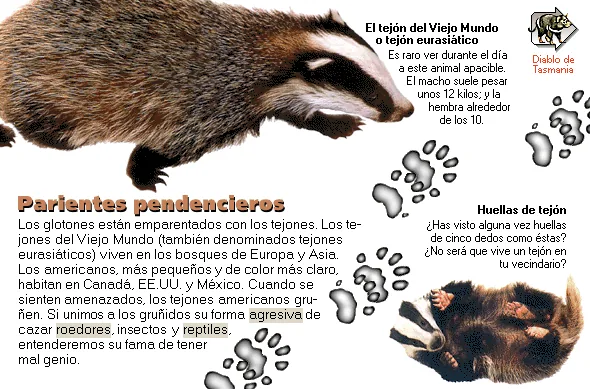 Parientes pendencieros