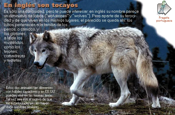 En inglés son tocayos