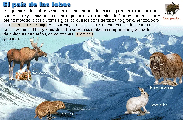 El país de los lobos
