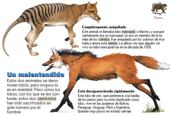 Un malentendido
