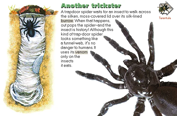 Another trickster