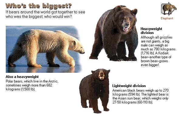 Who's the biggest?