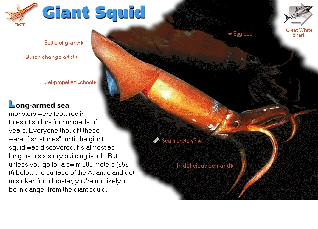 Giant Squid
