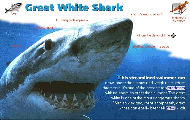 Great White Shark
