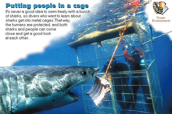 Putting people in a cage