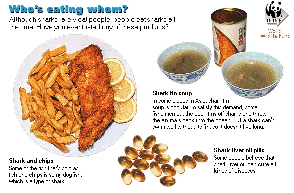 Who's eating whom?