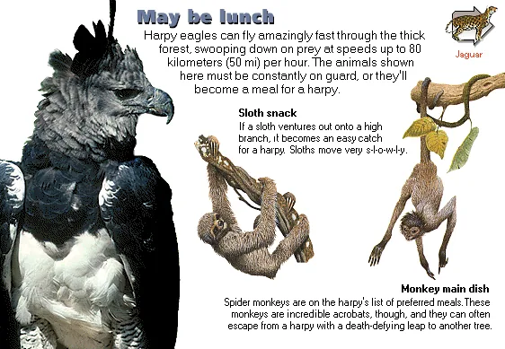 May be lunch