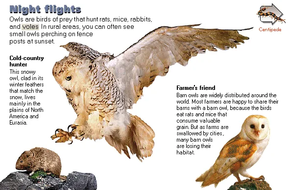 Night flights