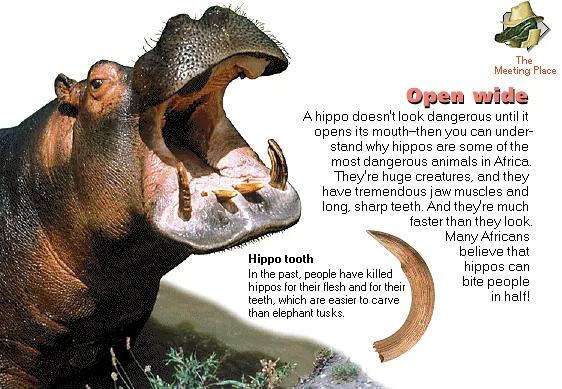 Open wide