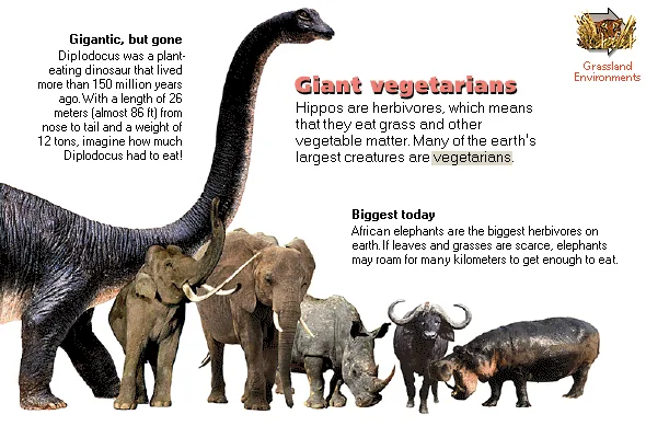 Giant vegetarians
