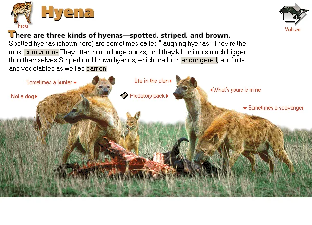 Hyena