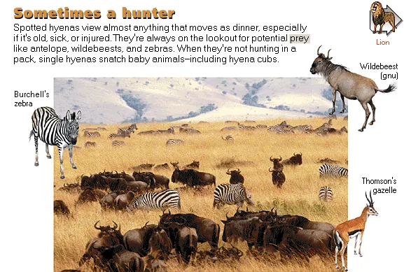 Sometimes a hunter