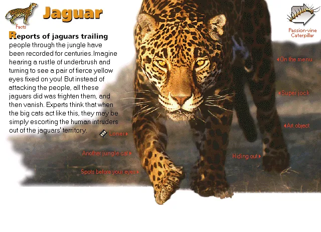 Jaguar