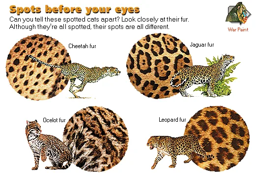 Spots before your eyes