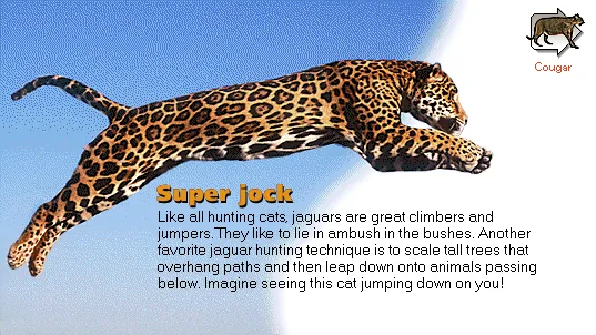 Super jock
