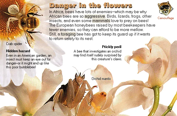 Danger in the flowers