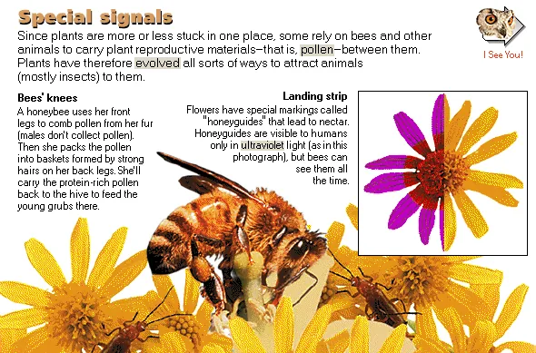 Special signals